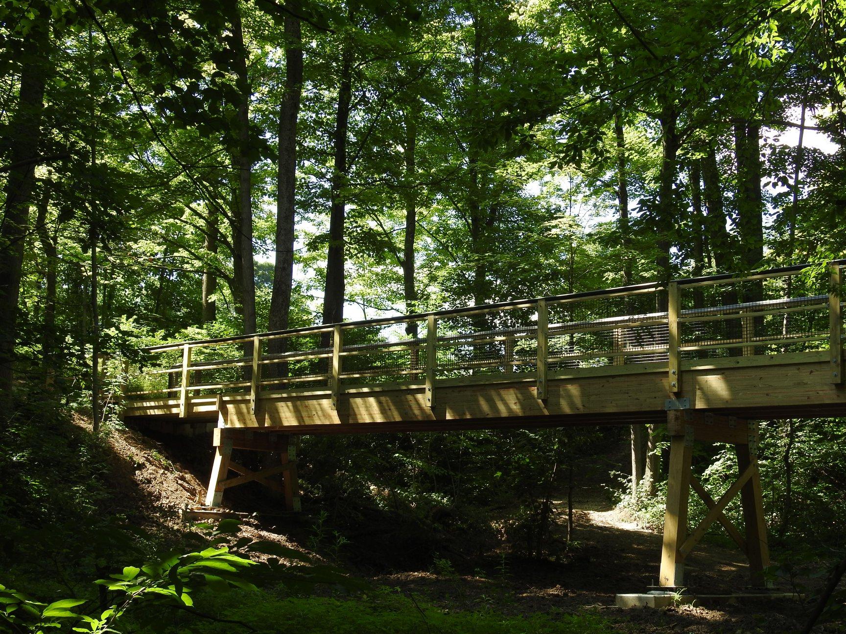 自然中心的树林里的一座桥